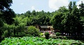長(zhǎng)沙出發(fā)到花明樓、韶山、張家界國(guó)家森林公園、天門仙山國(guó)家森林公園四日游