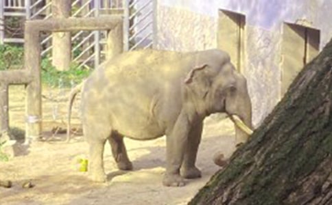 Λρ�ʹ���Ĺ���28��(g��)