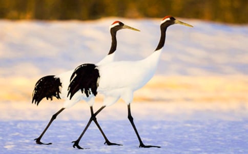 ����Q��(y��u)������