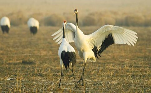 ���^����Q����