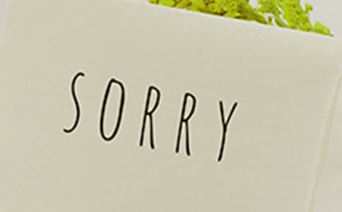 有關(guān)寫向女孩子道歉的話