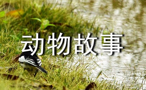 ���DҰ��������¼��x���