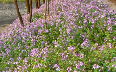 �����m�x��(sh��)�Pӛ