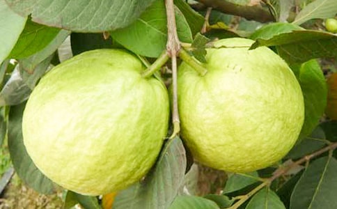 ��ʯ������_�Է�