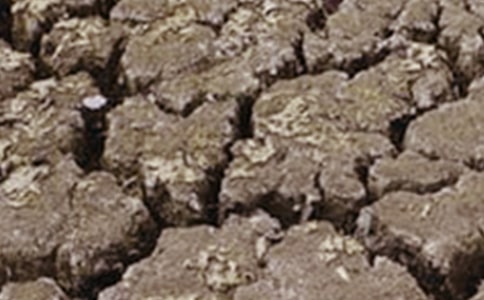 �r(n��ng)��ɺ����Ϲ�ˮ��ʩ��ʩ���������x7ƪ��