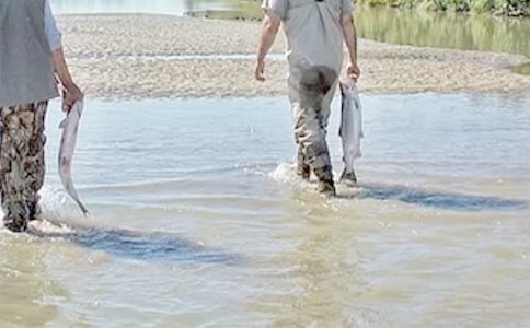 【必備】我的鐵哥們作文15篇