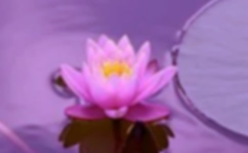 ���C�ă�(y��u)���Z��