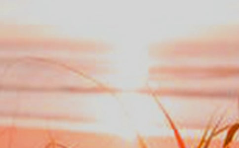 ���^(gu��)�l(xi��ng)�g��������