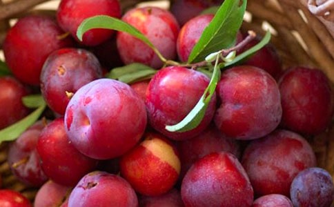 ���ӵĹ�Ч�c��������Щ