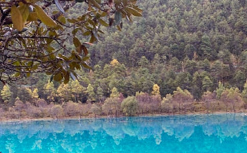 �����x���������ų�����13ƪ