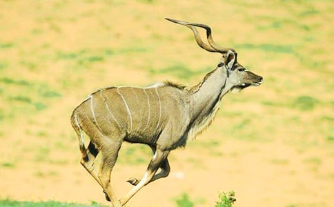 �x������ľ���и�