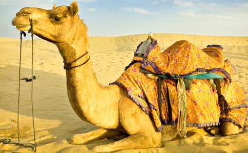 �x�������ӡ��и�15ƪ