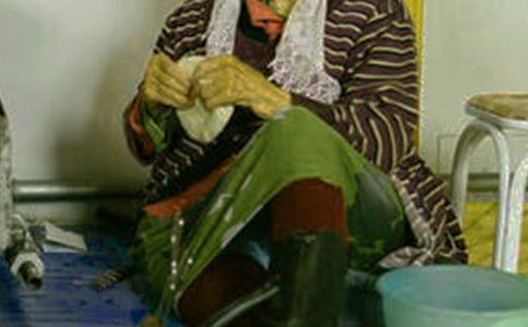 �ɹ������(x��)��