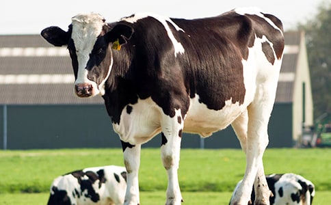 ������ţ�����wϵ���O(sh��)�L(f��ng)�U(xi��n)����Č�(sh��)ʩ��Ҋ(ji��n)