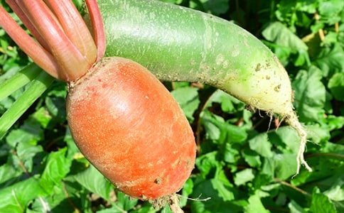 �r(n��ng)�Ҙ����Ĵ�ȫ��14ƪ��