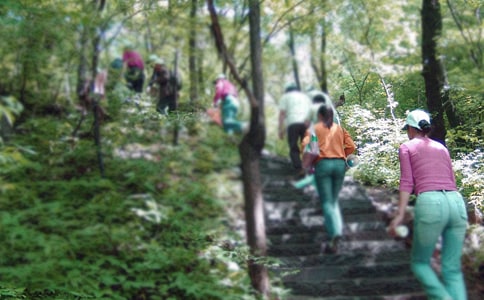 ��ɽ������