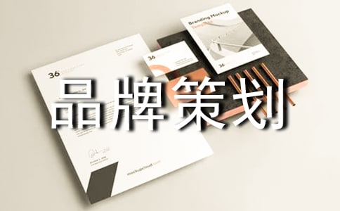 品牌策劃5篇(精華)