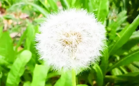 �ѹ�Ӣ�Ĺ���[�R��15ƪ]