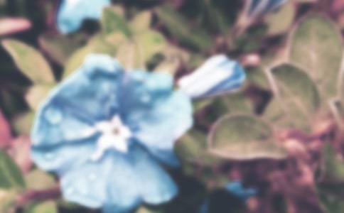 �������^����ӛ