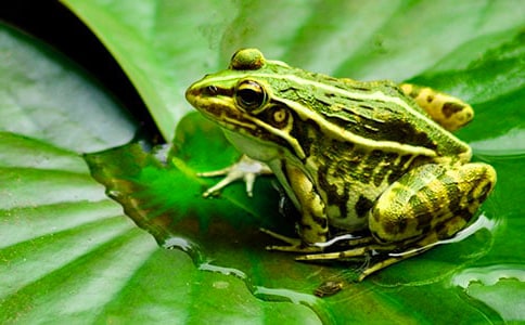 ���܌�Ԋ��[����]