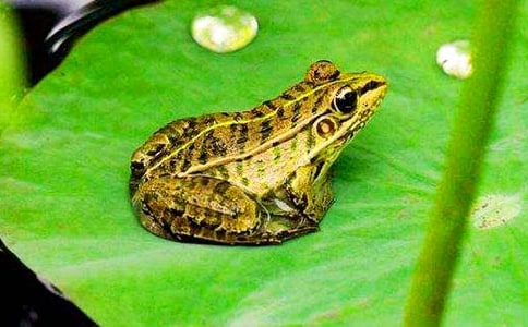 ���o(h��)��������