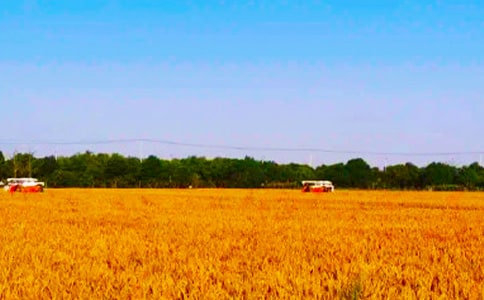 ������N��?gu��)�æ���ģ����x26ƪ��