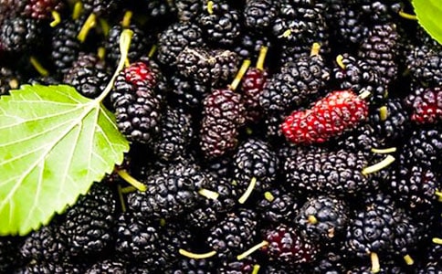 ժɣ�����ġ���(sh��)��15ƪ��