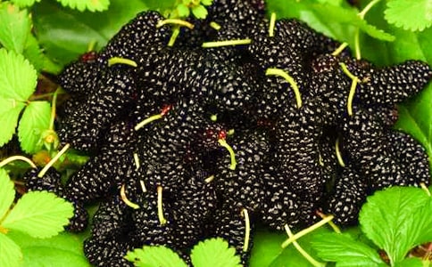 ��ժɣ������