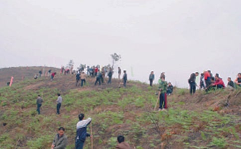 ��Ĺ���ģ����x37ƪ��