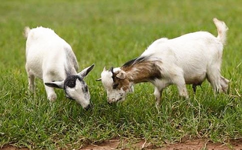 ɽ�򲻳����ò��x��У����x37ƪ��