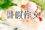 暑假作文作文