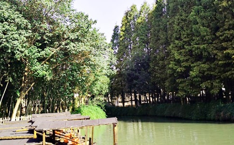 ���M(j��n)���(zh��n)����