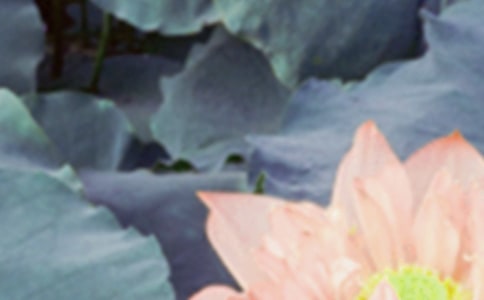 ����Ԋ(sh��)�佛(j��ng)��