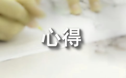 個(gè)人實(shí)踐活動(dòng)心得