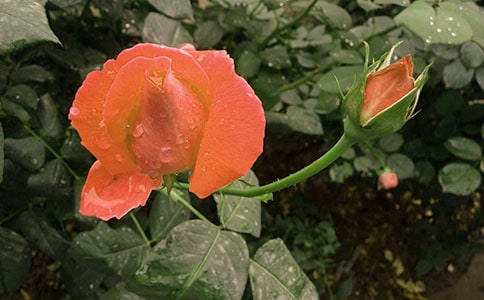 ���¼������ĵط����]