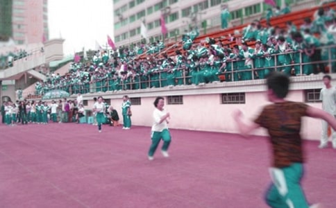 實用的運動會的作文【匯總4篇】