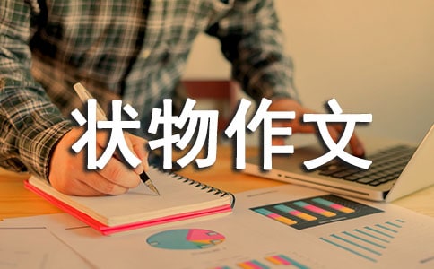 �ҵ��Đ�֮��_��������550��_���꼉��������