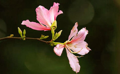 ���G��������150��