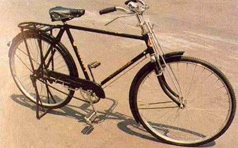 (必備)學(xué)騎自行車作文15篇