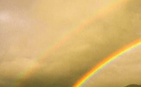 心中的彩虹作文14篇(優(yōu)秀)