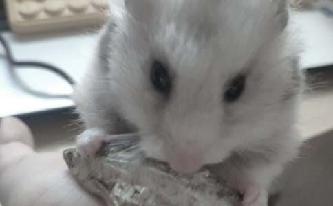 �}���^����ӛ