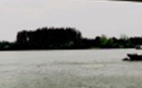 �L(zh��ng)��������