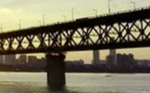 ���L(zh��ng)����̖(h��o)���^��кϼ�15ƪ