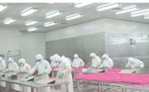 �����]��܇�g���ι���؟(z��)15ƪ