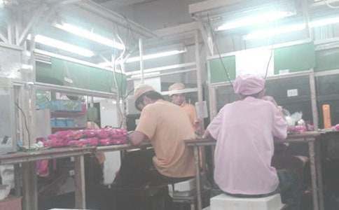 ܇(ch��)�g�M�L(zh��ng)����؟(z��)���x��15ƪ��