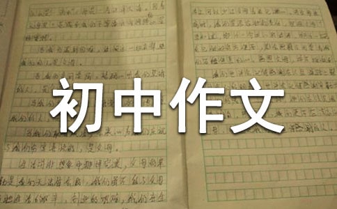 【精品】優(yōu)秀初中作文600字四篇