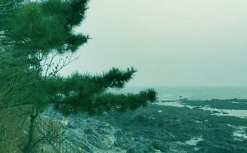 ���L(f��ng)�������ă�(y��u)�㡾15ƪ��