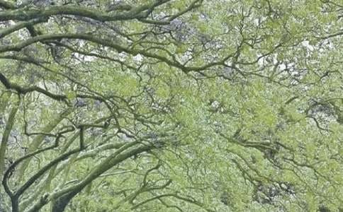 ���L����600��(��(y��u)��)