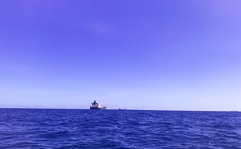 �P(gu��n)�ڴ󺣌�������300�ּ���8ƪ