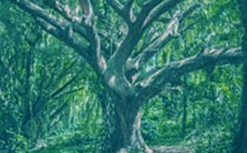 ����(y��u)�㣩���(sh��)������15ƪ